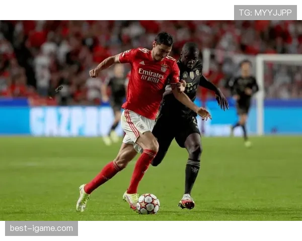 本菲卡深化战术调整,全力备战新赛季冲击佳绩